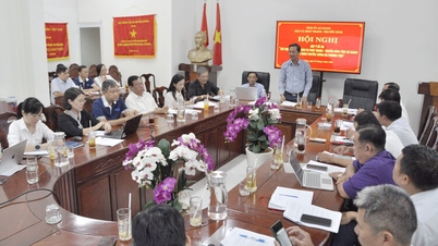Third round of feedback on the Project to develop An Giang Newspaper and Radio - Television into a multi-media communication agency.