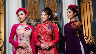 Drie schoonheden van Miss Ocean Vietnam 2025 fungeren als muzen voor de traditionele Ao Dai-jurk.