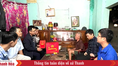 Xuan Lap: Talrijke activiteiten voor het maatschappelijk welzijn.