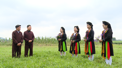 Å bevare sjelen til San Diu-folkesangene midt i det skiftende tempoet i livet i Tuyen Quang-provinsen.