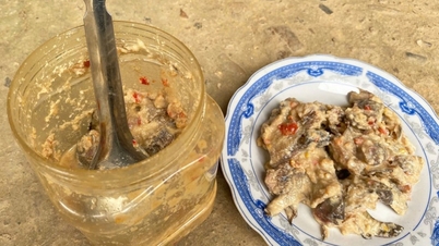 Des directives urgentes ont été émises suite à la découverte de deux autres cas d'intoxication alimentaire à Da Nang, après la consommation de poisson fermenté.