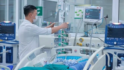 감염병 통제를 위한 포괄적인 해결책을 시행하십시오.