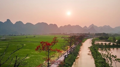 Bản hòa âm của lá