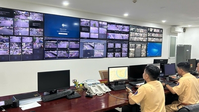 Het camerasysteem in Ho Chi Minh-stad bestrijkt het hele gebied, inclusief de voormalige provincies Ba Ria - Vung Tau en Binh Duong.