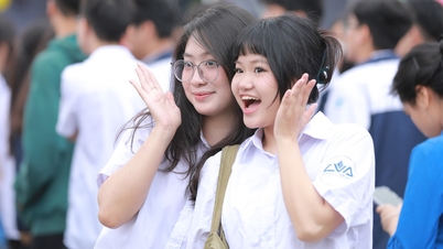 Ședințele individuale de consiliere sunt în plină desfășurare în Hai Phong: studenții se adună pentru a întreba despre alegerea specializărilor și universităților.