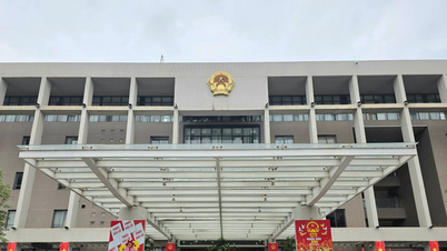 The youth of Ha Dong ward are demonstrating their pioneering role.