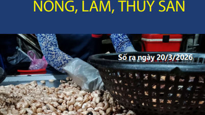 Agricultural, Forestry, and Fisheries Market Bulletin, March 20, 2026