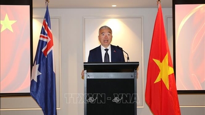 Cooperarea Vietnam-Australia: un mare potențial, conexiuni din ce în ce mai profunde.