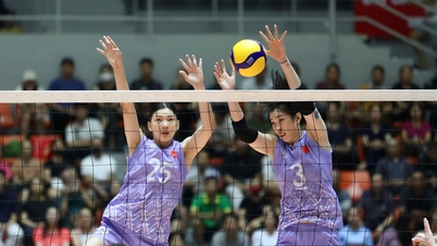 L'équipe féminine vietnamienne de volley-ball s'est vu offrir une importante récompense.