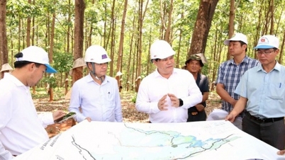 Quang Ngai: Miért nem kapta még meg a 210 hektáros naperőmű-projekt beruházási jóváhagyását?