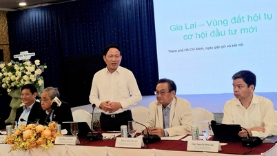 Les associations d'entreprises proposent des initiatives, le président provincial de Gia Lai fait une déclaration impressionnante.