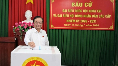 Dong Thap: Bekendmaking van de lijst met 85 afgevaardigden voor de 11e Provinciale Volksraad.