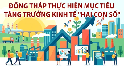 [Infographie] Dong Thap vise une croissance économique à deux chiffres