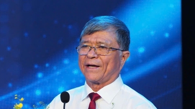 ভিয়েতনাম টানা পাঁচ বছর ধরে প্রাথমিক বিদ্যালয়ের গণিতে বিশ্বে শীর্ষস্থান ধরে রেখেছে।