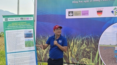 Meningkatkan model penyemaian kering secara mekanikal: Penyelesaian baharu untuk pengeluaran beras lestari dan pengurangan pelepasan.