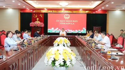 កិច្ចប្រជុំលើកដំបូងរបស់គណៈកម្មាធិការដឹកនាំសន្តិសុខតាមអ៊ីនធឺណិតជាតិនៅឆ្នាំ ២០២៦។