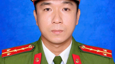 Proponemos que el Ministerio de Seguridad Pública implemente políticas y regulaciones con respecto al Capitán Nguyen Xuan Hai, quien sacrificó su vida en el cumplimiento de su deber.