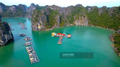 Les touristes pourront bientôt prendre de superbes photos et diffuser en direct depuis l'intérieur des grottes de la baie d'Ha Long.