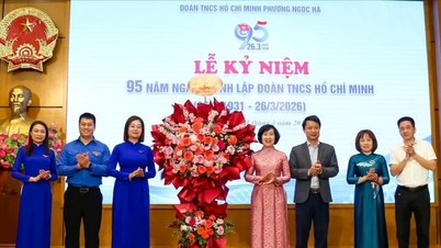 Ngoc Ha kerület fiataljai élen járnak a digitális korban.