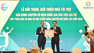 Het versterken van de middelen voor het Vietnamese damesvolleybal.