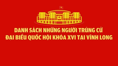 Lijst van gekozen vertegenwoordigers voor de 16e Nationale Vergadering in Vinh Long