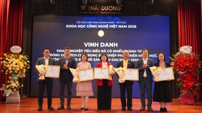 Many outstanding individuals and businesses in the VST sector received Certificates of Commendation from the Minister of Science and Technology.