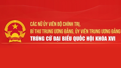 Danh sách các nữ Ủy viên Bộ Chính trị, Bí thư TW Đảng, Ủy viên TW Đảng trúng cử Đại biểu Quốc hội khóa XVI