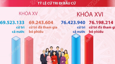 National Assembly and People's Council elections: 99.70% of voters nationwide participated in the voting.