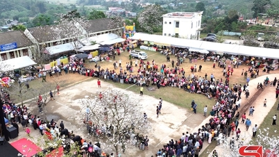 Kesan Festival Bunga To Mua Ban