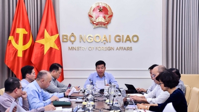 Viceministrul Nguyen Manh Cuong a prezidat un seminar privind implementarea activității de cercetare științifică a Ministerului Afacerilor Externe.