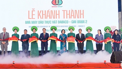 លោកស្រី ង្វៀន ធីថាញ់ អនុប្រធានរដ្ឋសភា អញ្ជើញចូលរួមពិធីសម្ពោធរោងចក្រផលិតបច្ចេកវិទ្យាទំនើបមួយ។