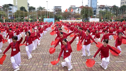 Knapp 3.000 ältere Menschen in Hanoi nahmen an einer Massenaufführung des gesundheitsfördernden Fächertanzes teil.