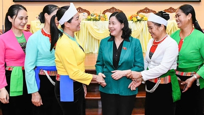 Bui Thi Minh Hoai, președinta Comitetului Central al Frontului Patriei Vietnam, a fost aleasă delegată la a 16-a Adunare Națională.