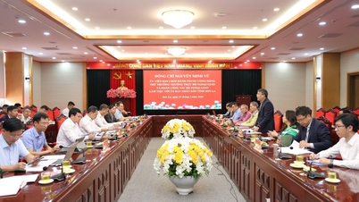 পররাষ্ট্র মন্ত্রণালয়ের স্থায়ী উপমন্ত্রী ও তাঁর প্রতিনিধিদল সন লা প্রদেশের গণকমিটির সাথে কাজ করেছেন।