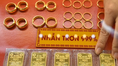 Los precios de los lingotes de oro de SJC han caído drásticamente hasta los 171 millones de VND por onza.