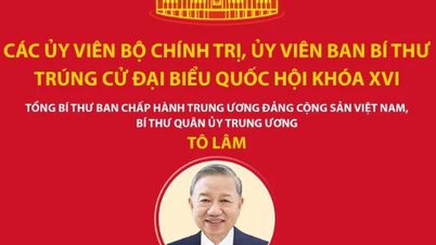 Les membres du Politburo et les membres du Secrétariat ont été élus députés à la 16e Assemblée nationale.