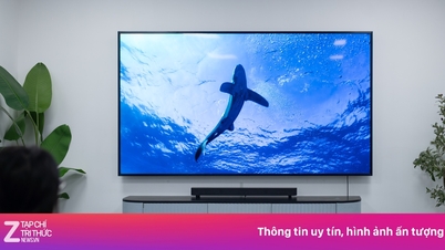 En quoi l'écran Mini LED de Sony se distingue-t-il de ses concurrents ?