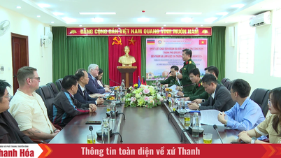 Strategic direction for improving the quality of human resources.