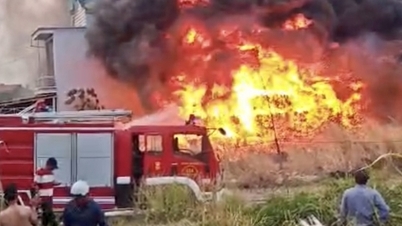 Les pompiers ont éteint un important incendie dans un champ, empêchant ainsi sa propagation à des dizaines de maisons.
