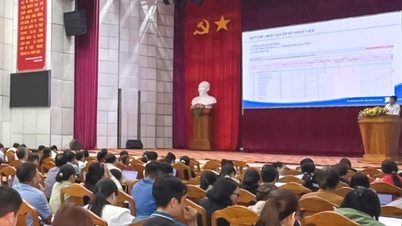 A província de Lam Dong está oferecendo treinamento em sistemas de informação e relatórios para quase 300 funcionários de base.