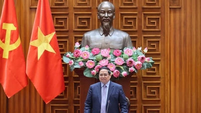 Thủ tướng Phạm Minh Chính: Đáp ứng đủ nhu cầu năng lượng, xăng dầu cho sản xuất, kinh doanh và tiêu dùng