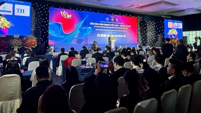Vietnam işletmeleri için yeni standartlar belirlemek.