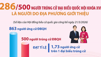 តំណាងរាស្ត្រ​រដ្ឋសភា​ចំនួន ២៨៦ រូប​ក្នុង​ចំណោម ៥០០ រូប​ដែល​ជាប់​ឆ្នោត ត្រូវ​បាន​តែងតាំង​ដោយ​អាជ្ញាធរ​មូលដ្ឋាន។