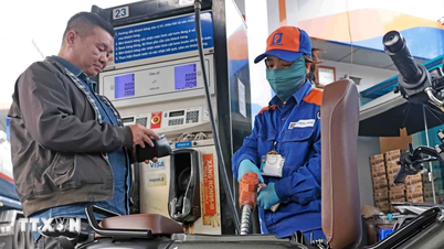Conclusion of the Politburo on ensuring stable fuel supply and prices in the new situation.