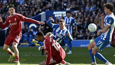 Doświadczony napastnik Welbeck strzela gola dla Brightonu w zwycięstwie nad Liverpoolem.