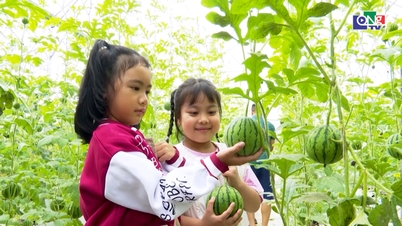 Linking OCOP products with rural tourism.