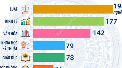 La experiencia y las habilidades profesionales de los 500 representantes electos a la 16ª Asamblea Nacional.