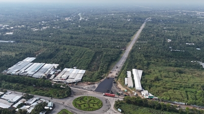 Can Tho aprueba el plan maestro para la megaciudad del Mekong, valorada en más de 6.000 millones de dólares, en la región sur.