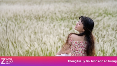 Genießen Sie während der Hauptreisezeit den Sonnenuntergang in den Schilfgebieten von Ho-Chi-Minh-Stadt.