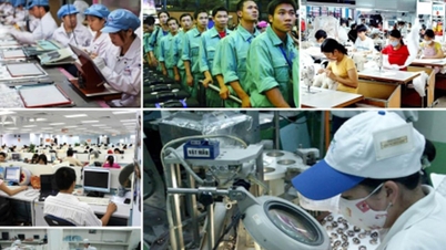 Memahami pekerja – landasan kebijakan ketenagakerjaan yang berkelanjutan.